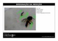 /album/galeria-de-fotos-pagina-inicial/abelhin-jpg/